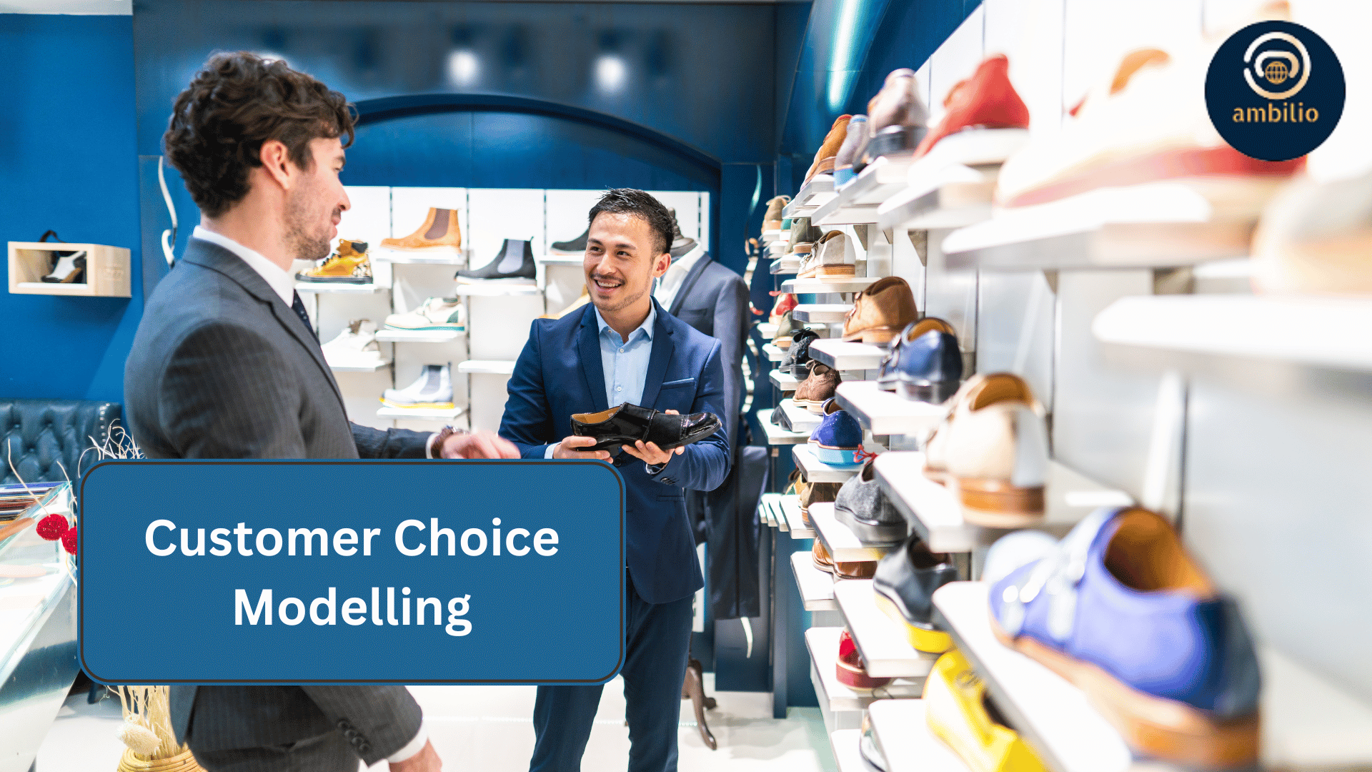 Maximizing Sales and Customer Satisfaction with Choice modelling
